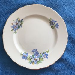 China Plate With Blue Flowers And Gold Trim 