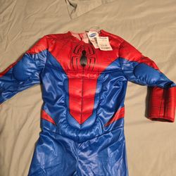 Spiderman Costume 