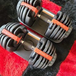 Adjustable Dumbbells 