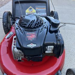 Briggs & Stratton 