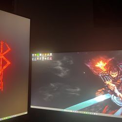 2 Gaming Monitors 
