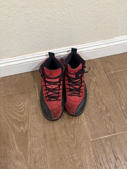 jordan 12