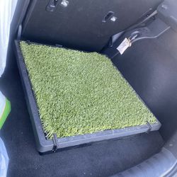 NEW! Pet Indoor Yard Training Medium 