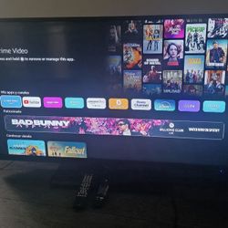 Westinghouse 55 Inch TV