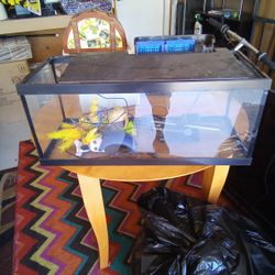 25 Gallon Fish Tank, Top Fin Filter, Water Heater, Decorations, Bubbler Air Pump