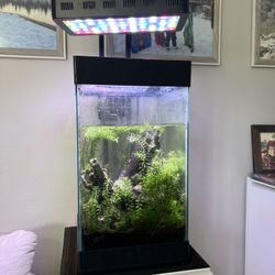 Fish Tank + Lights + Stand