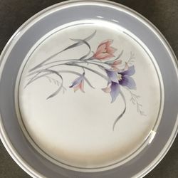 Dinner Plate 2 Pc