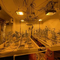 Cheap Hydroponic Equipment 