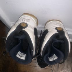 Air Jordan 10’s