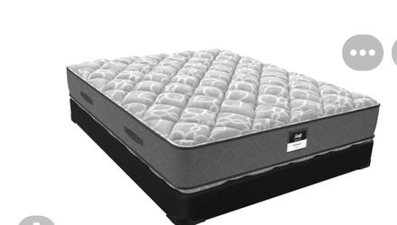 Free (2) twin mattresses
