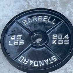 45lb Weight Plate