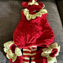 Baby Strawberry Costume