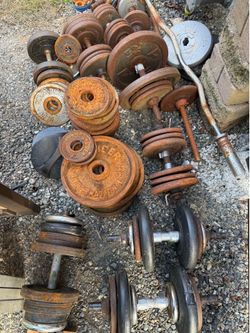 FREE WEIGHTS (PENDING)