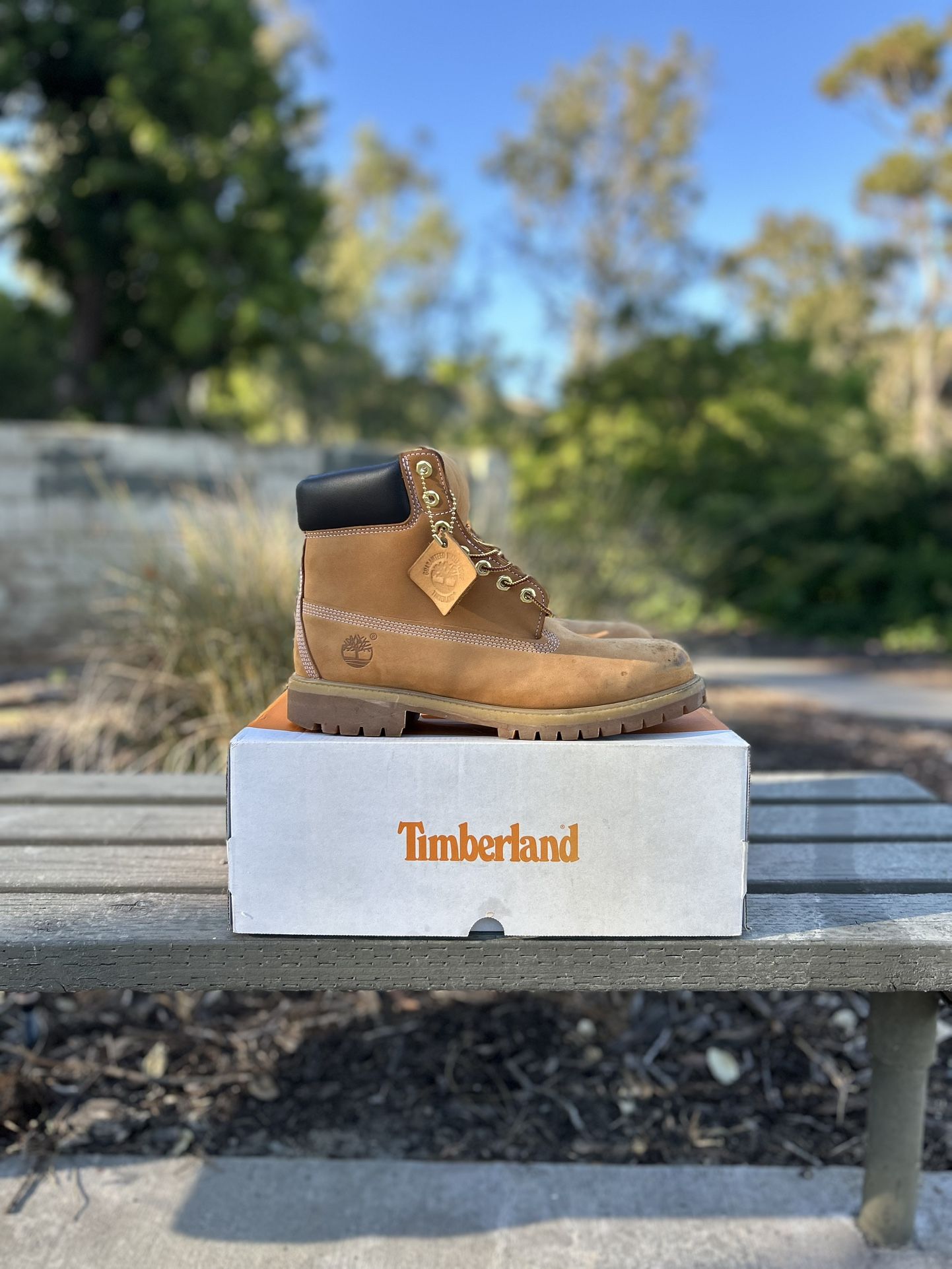 Timberland 6 Inch ‘Wheat’ 2019