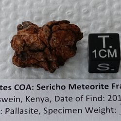 Sericho Kenyan/African Pallasite Meteorite Fragment 7.2 grams