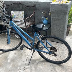 Bike Used  giant Need To Be Fix 