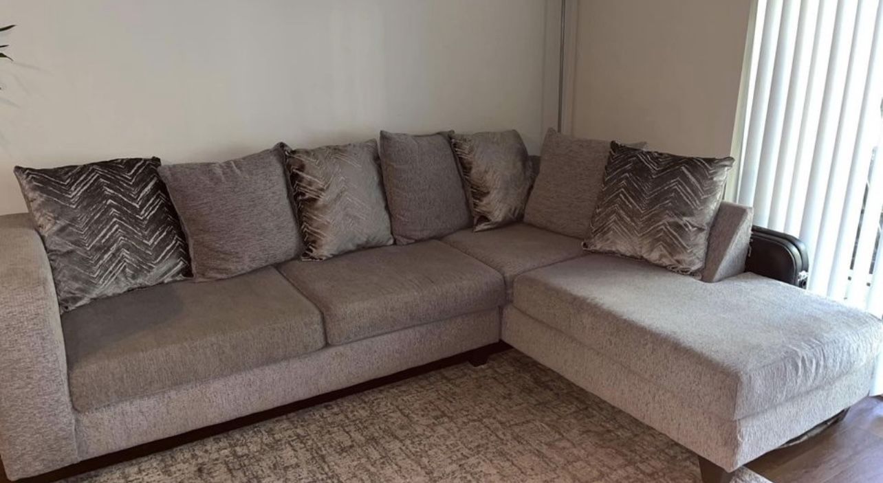 Gray Sectional couch