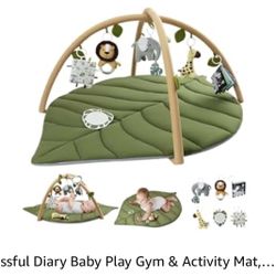 Baby Play Gym Or Mat 