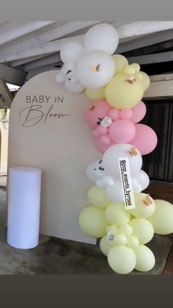 Backdrop And Balloon Decorations/babyshower Setup