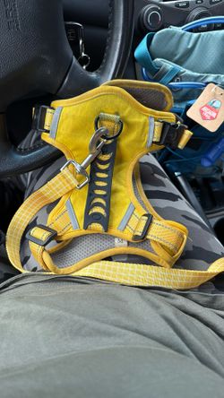 Medium Harness & Leash $15