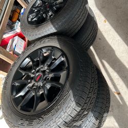 Brand New Tires(Falken Wild peaks/T3wA)