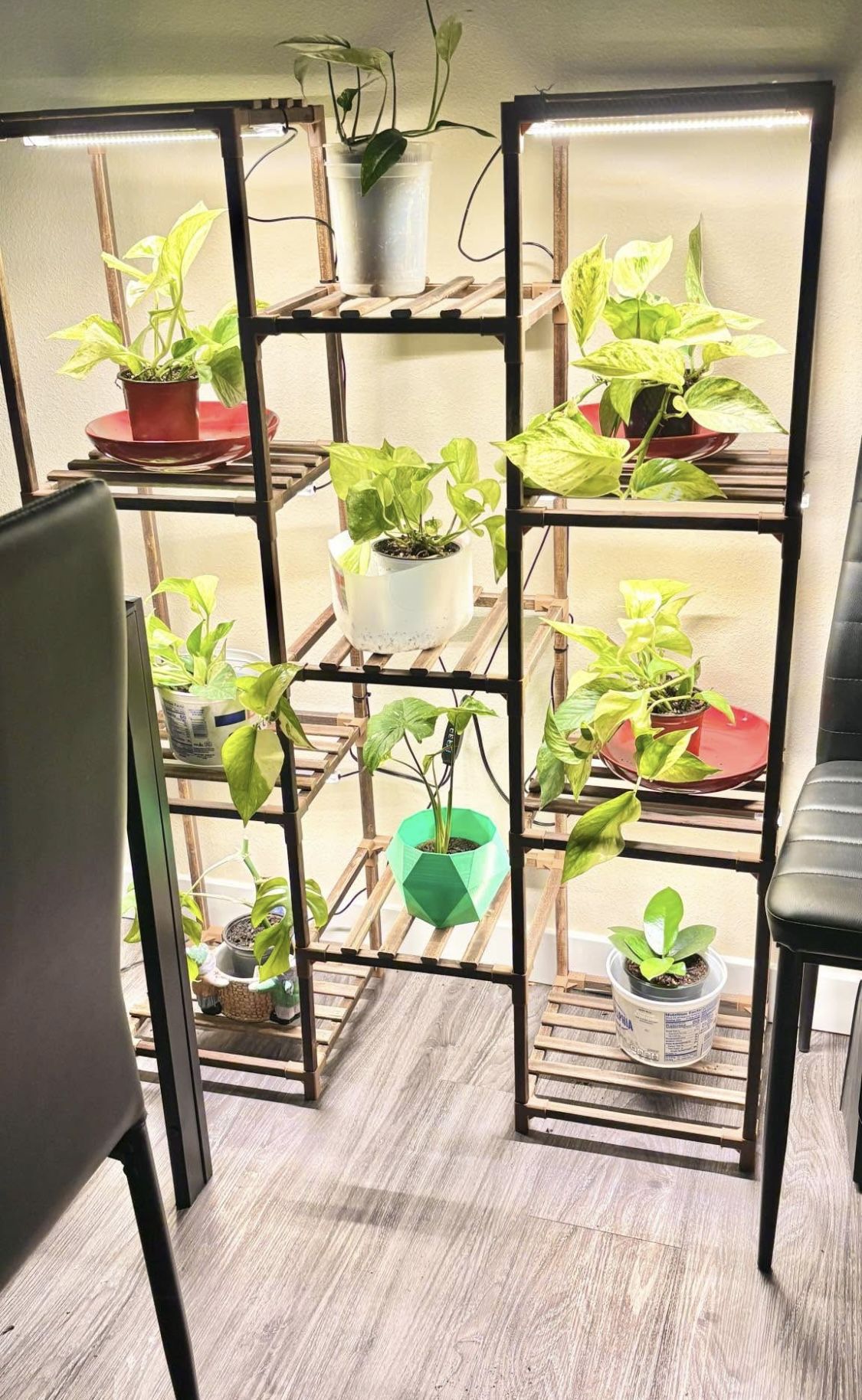 Shelf With Grow Light