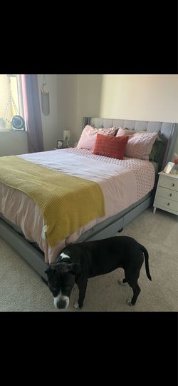 Queen Size Grey Upholstered Platform Bed Frame with Tufted Headboard
