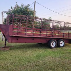 Cattle Trailer 