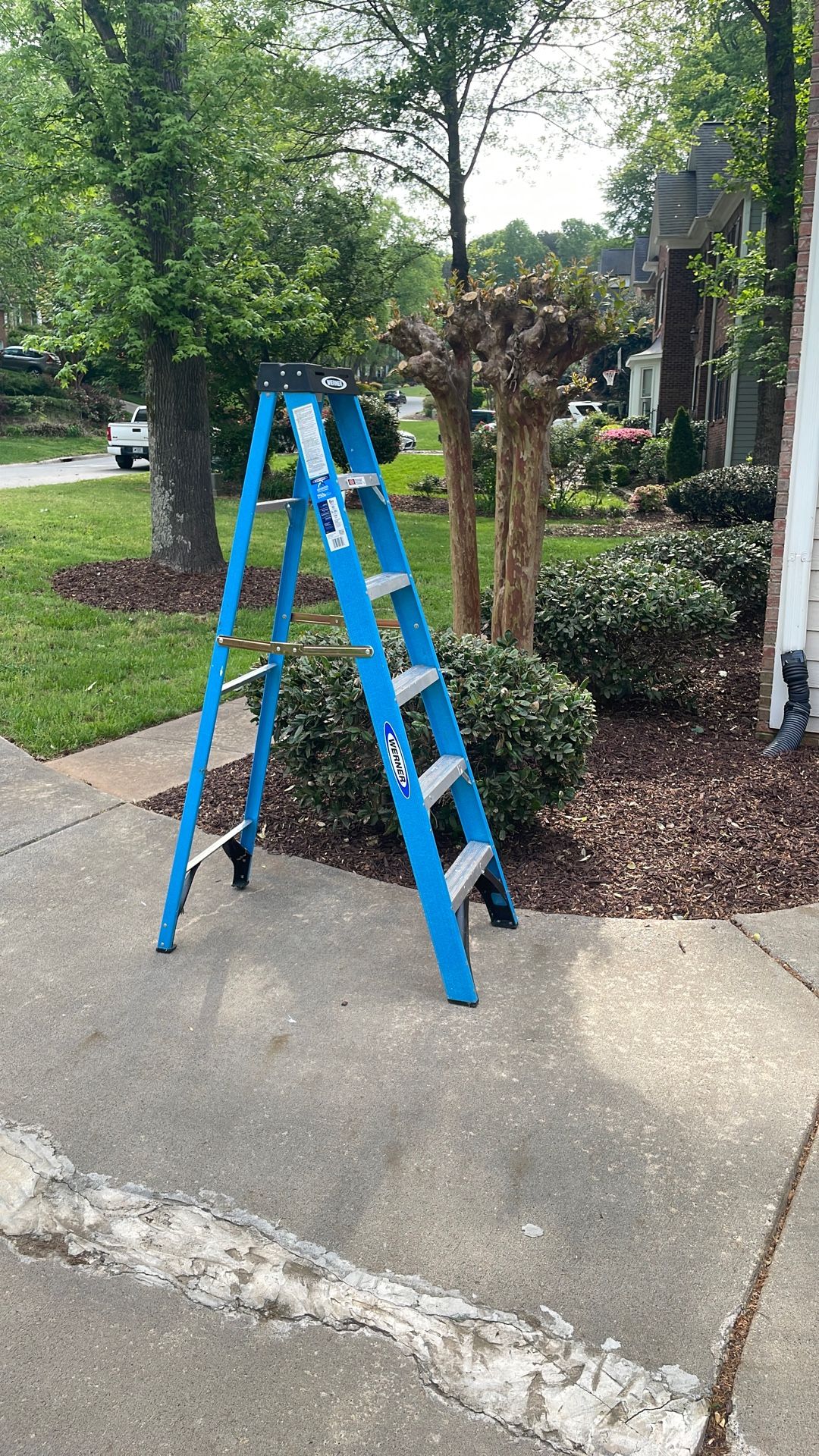 6 Foot Blue Ladder