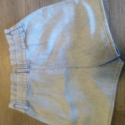 Express Shorts 