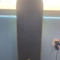 Jaws birdhouse skateboard