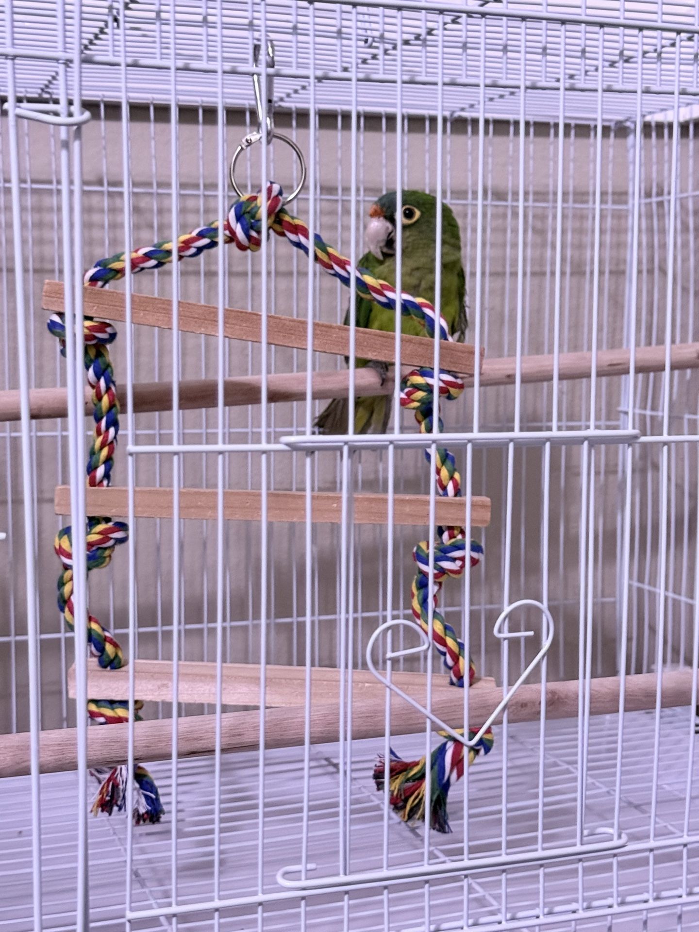 Half Moon Parrot Bird Cage