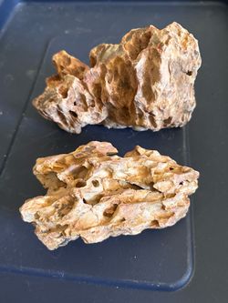 Aquarium Dragon Stone