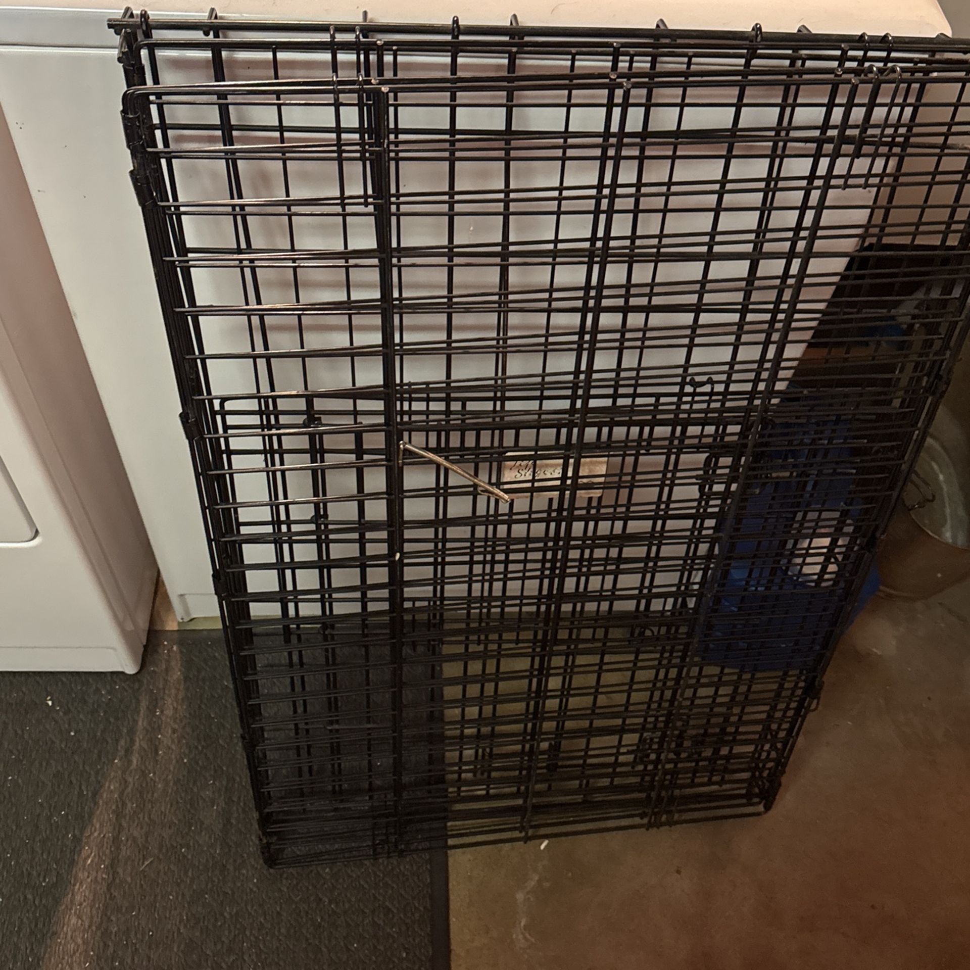 Kennel Medium Size