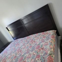 King Coat With Free Bed Used