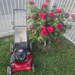 YARD MACHINES 5.00 HP PUSH LAWN MOWER