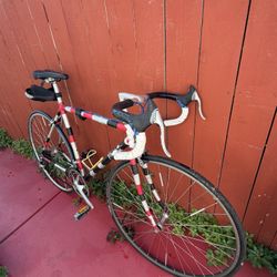 Bike 🚲 