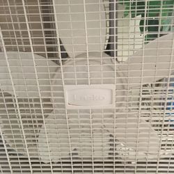 Lasko Box Fan Clean