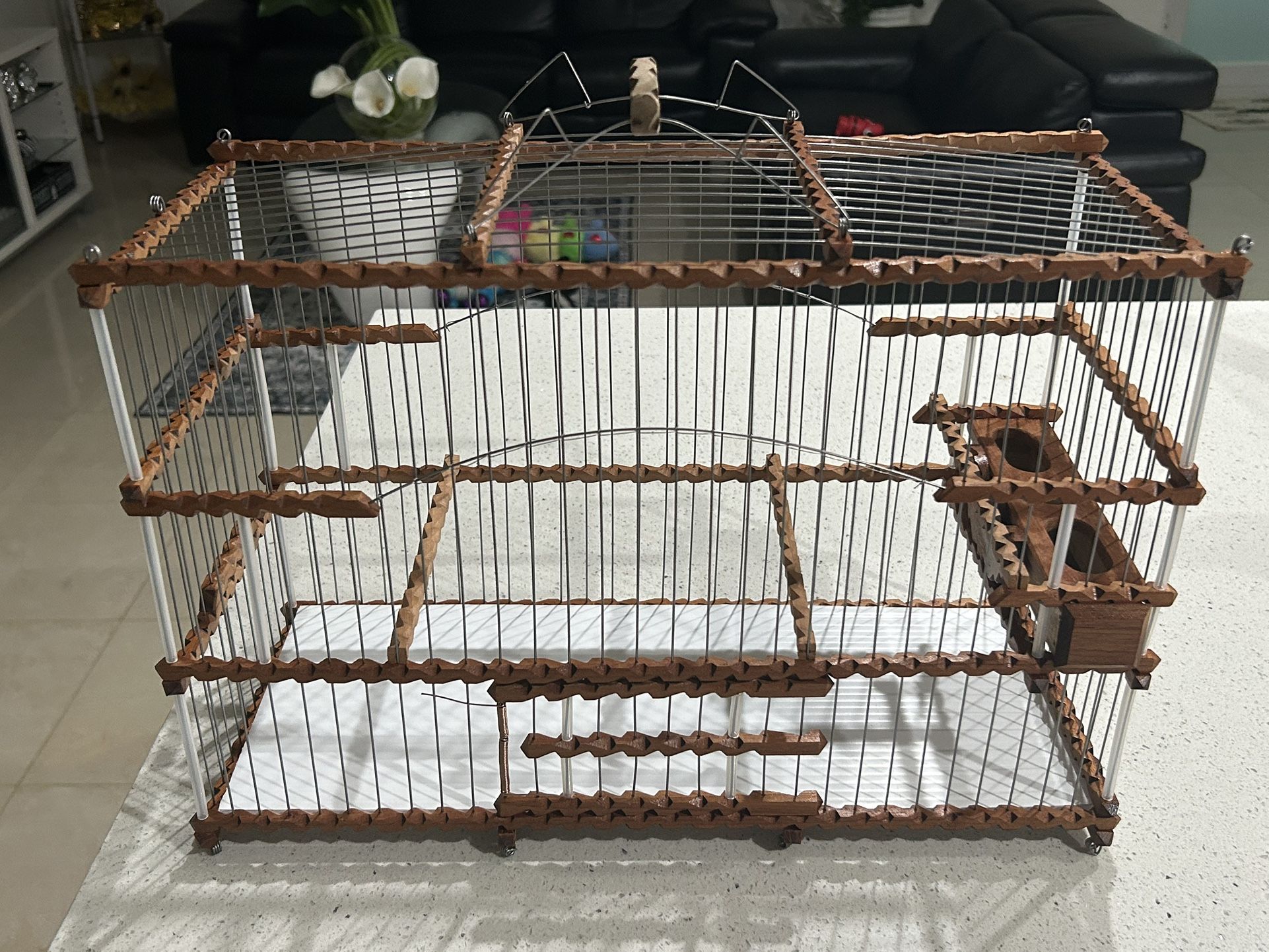 Bird Cage/ Jaulas