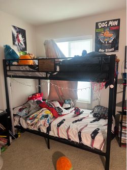Free bunk bed