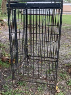 DOG ( or ) Chikeng Hause good condicion