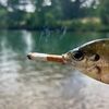 NW And SE Fishing 