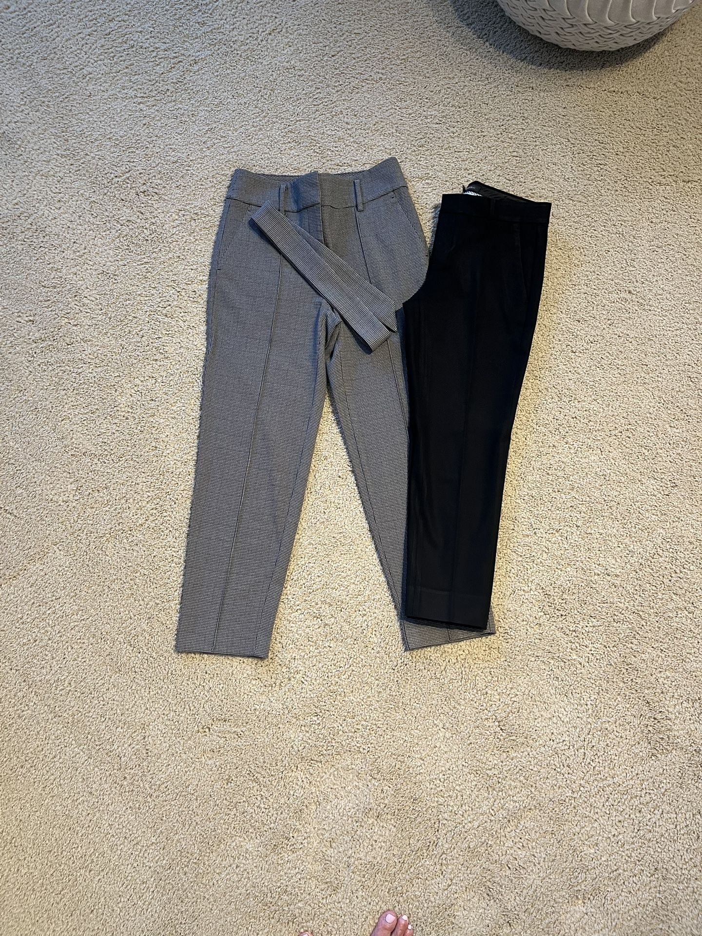 Dress Pants