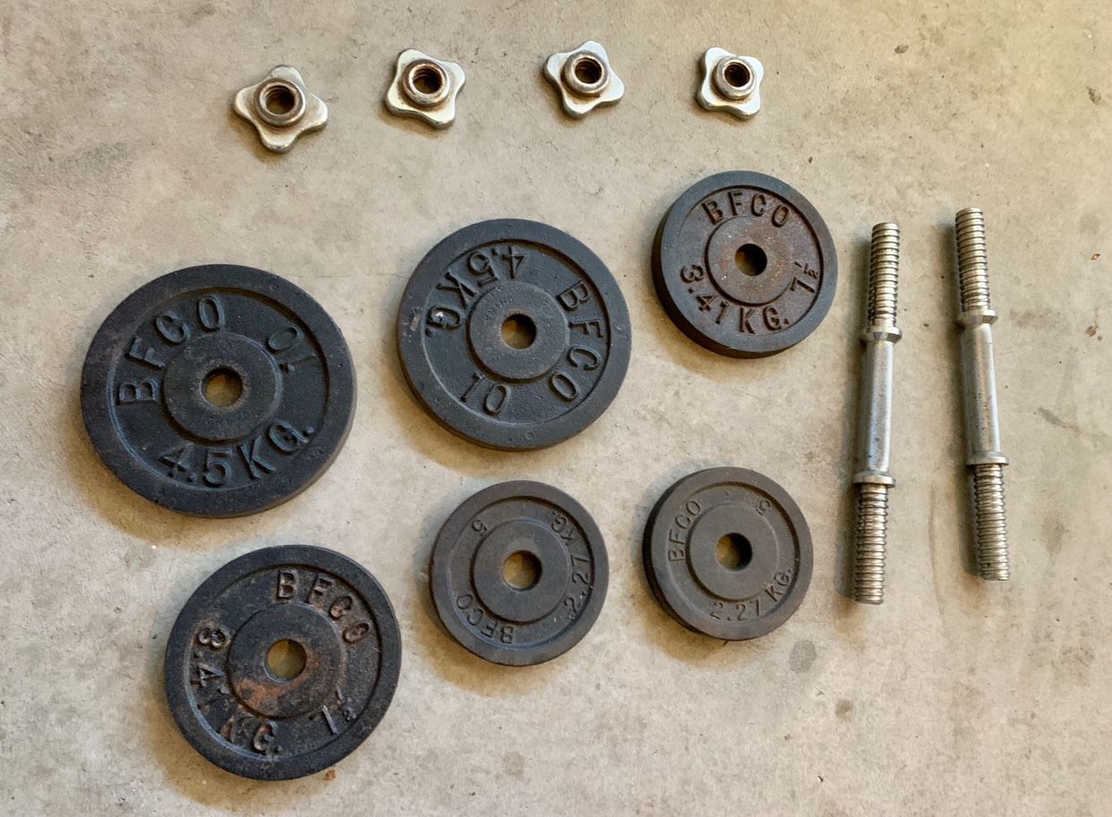 Adjustable weights for strength training