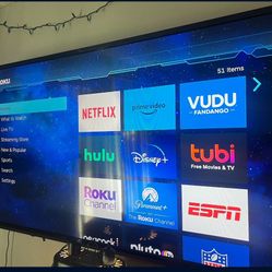 60 in VIZIO  TV 