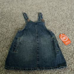 Toddler Girls Denim Dress Size 18 Months