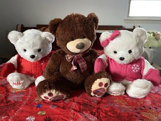 3 Teddy bear.
