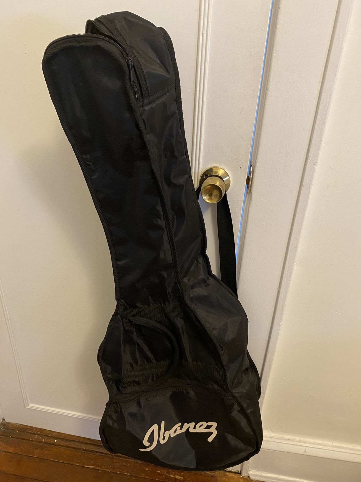 Ibanez Acoustic Guitar Gig Bag