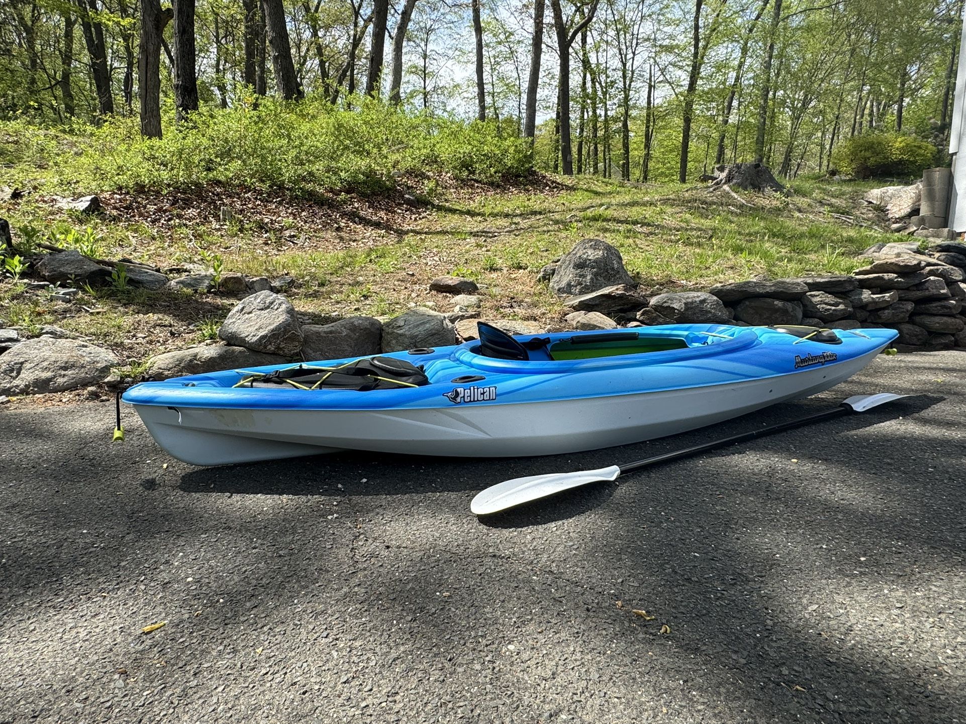 Pelican Mustang 100x Kayak 10 Ft With Paddle And Life Jacket