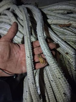 Rope trees pull wire